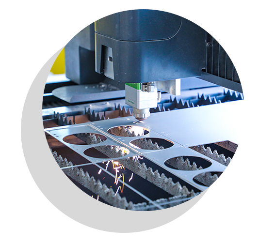 Moneda personalizada