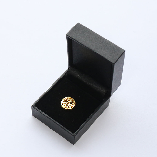 Insignia de pin de solapa de hierro esmaltado suave de metal con logotipo personalizado